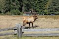 IMG_0815