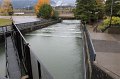 IMG_1181