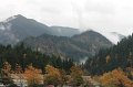 IMG_1191
