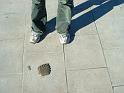 img0193