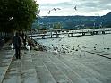 img0016