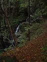 img0142