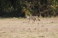 IMG_0012