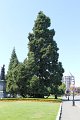 IMG_0199