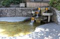 IMG_0208