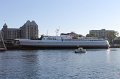IMG_0253