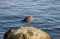IMG_0413