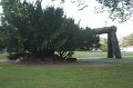 IMG_0454