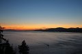 IMG_0467