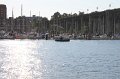 IMG_0496