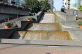 IMG_0505