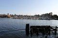 IMG_0515