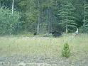 Pict0092